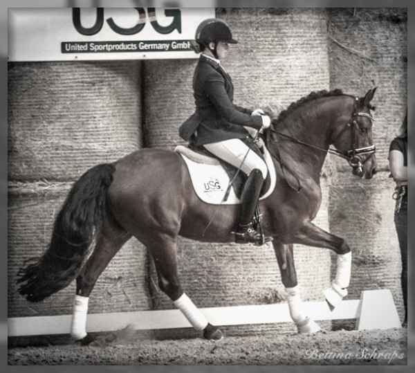 bettina_schraps_2020_schwarzweiss_galopp_ver%C3%B6ffentlicht.jpg