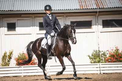 TOP FIRST PONY