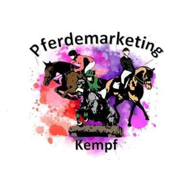 Kommissionsvermarktung für Freizeitpferde und Ponys