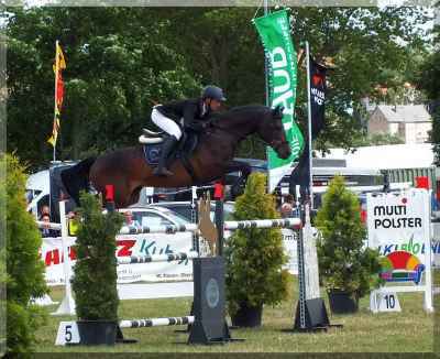 mehrfach_gesiegt_in_140cm_für_allerhöchste_ansprüche_s0187628.jpg
