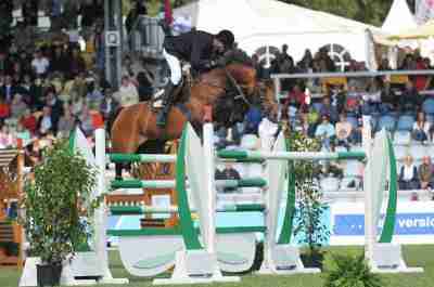Check In - Einer unser besten Hengste im Stall