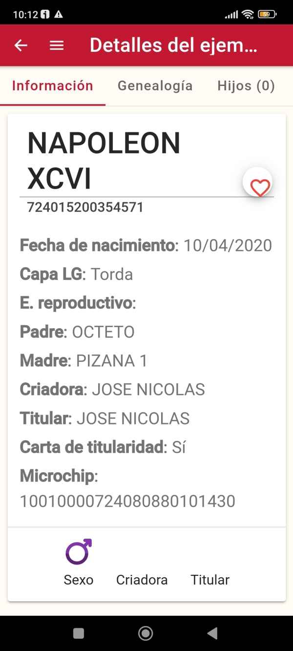 PRE_COLT_ANCCE_ANDALUSIAN_7.jpg
