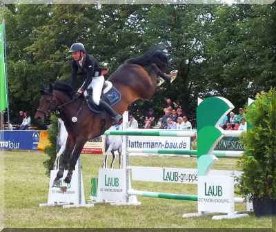 mehrfach_gesiegt_in_140cm_für_allerhöchste_ansprüche_s0177620.jpg