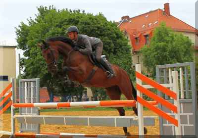 Doppelt talentierte Nachwuchssportlerin, Verlasspferd