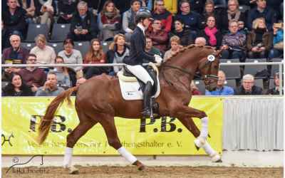 galerie_3_077Damaschino-Galopp-Beelitz-2019%402x.jpg