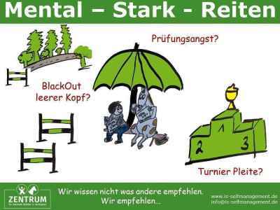 Einzelcoaching - Mental - Stark - Reiten (wingwave(r))
