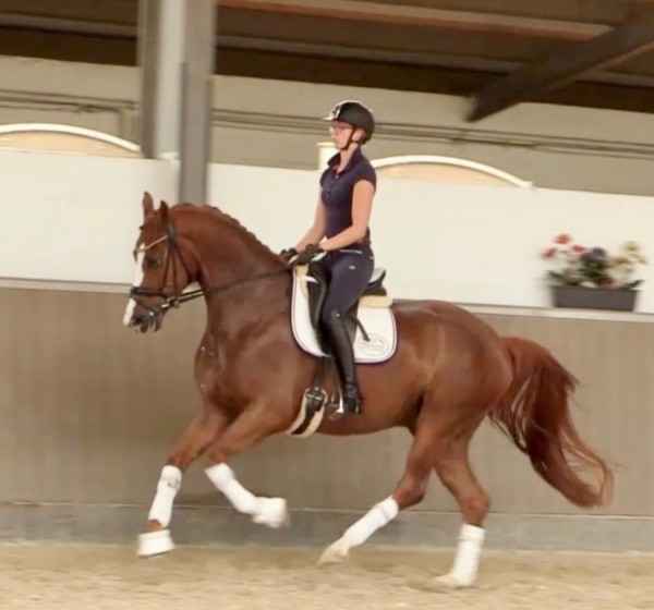 canter4.jpeg