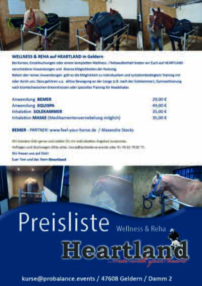 Wellnessprogramm für Pferde