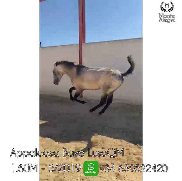 WhatsApp_Image_2021-07-15_at_11.28.37_%281%29.jpeg
