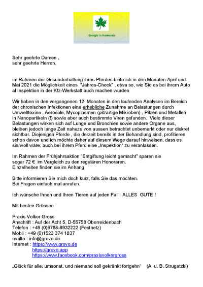 Frühjahsaktion - Entgiftung leicht gemacht 