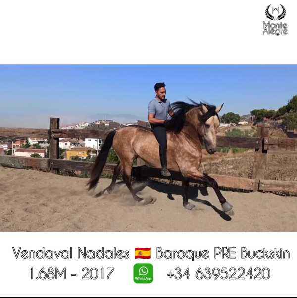 WhatsApp_Image_2021-09-08_at_15.57.02_%284%29.jpeg