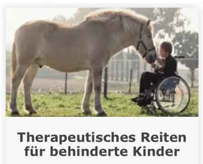 Reittherapeut/in gesucht