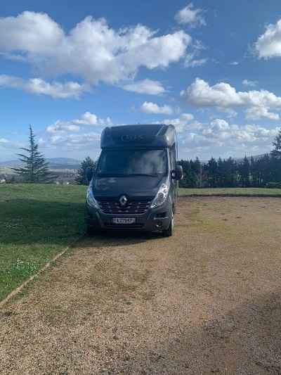 Renault master stx transport 2 pferden