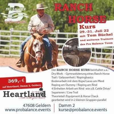 Ranch Horse Kurs in Geldern