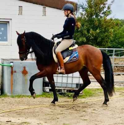 P.R.E Wallach -elegant- entspannt und liebenswert