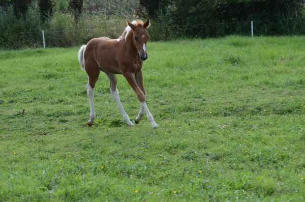 DSC_1275.JPG