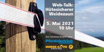 Gratis-Web-Talk: Profi-Tipps zur Hütesicherheit!