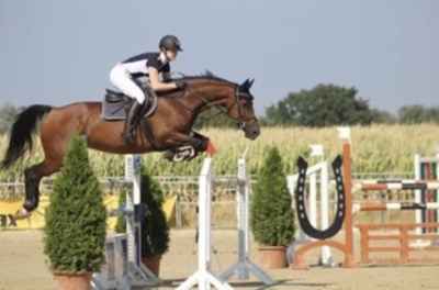 Springpferd S-gewonnen